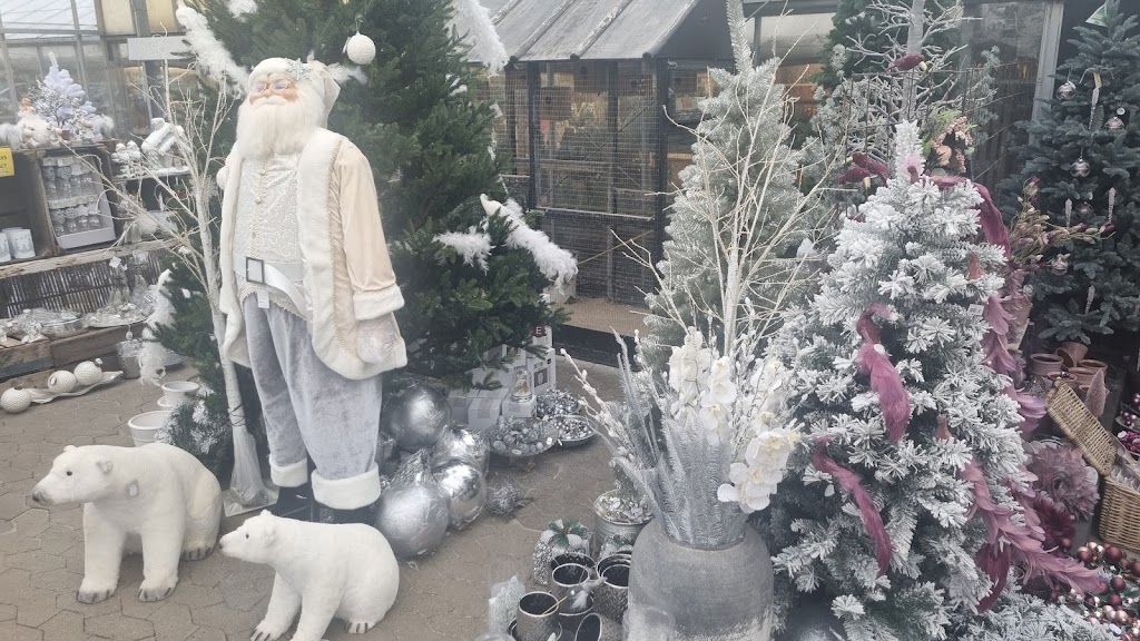 nybo-nursery-and-garden-center-10.jpeg