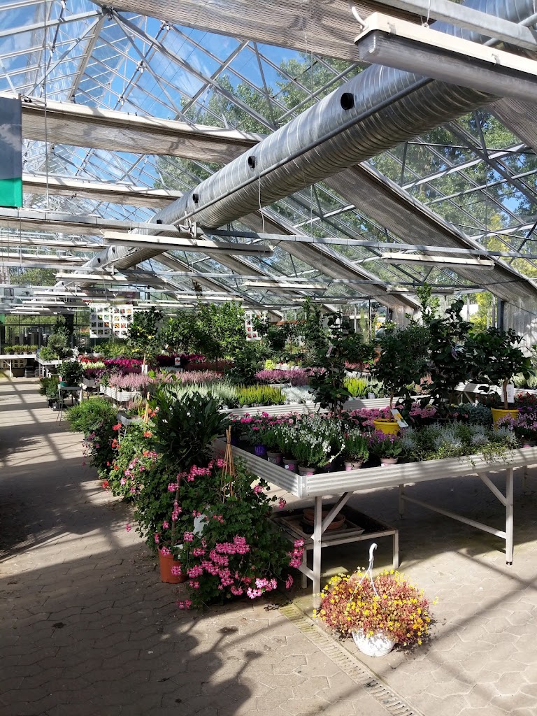 nybo-nursery-and-garden-center-8.jpeg