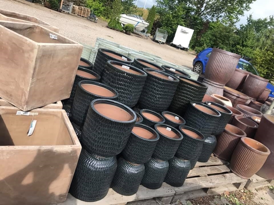 nybo-nursery-and-garden-center-9.jpeg