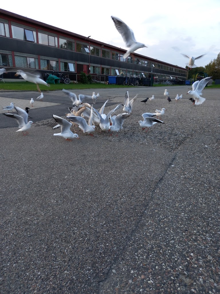 asylcenter-sandholm-18.jpeg