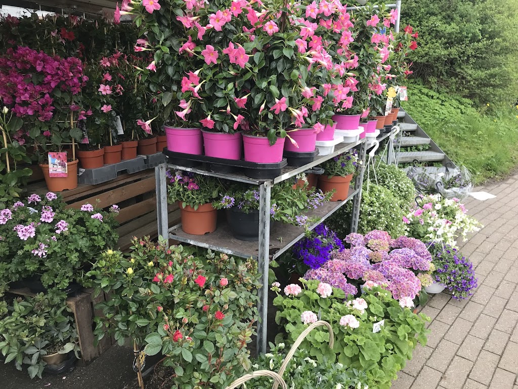 blomsterhuset-v-serdar-yumusak-8.jpeg