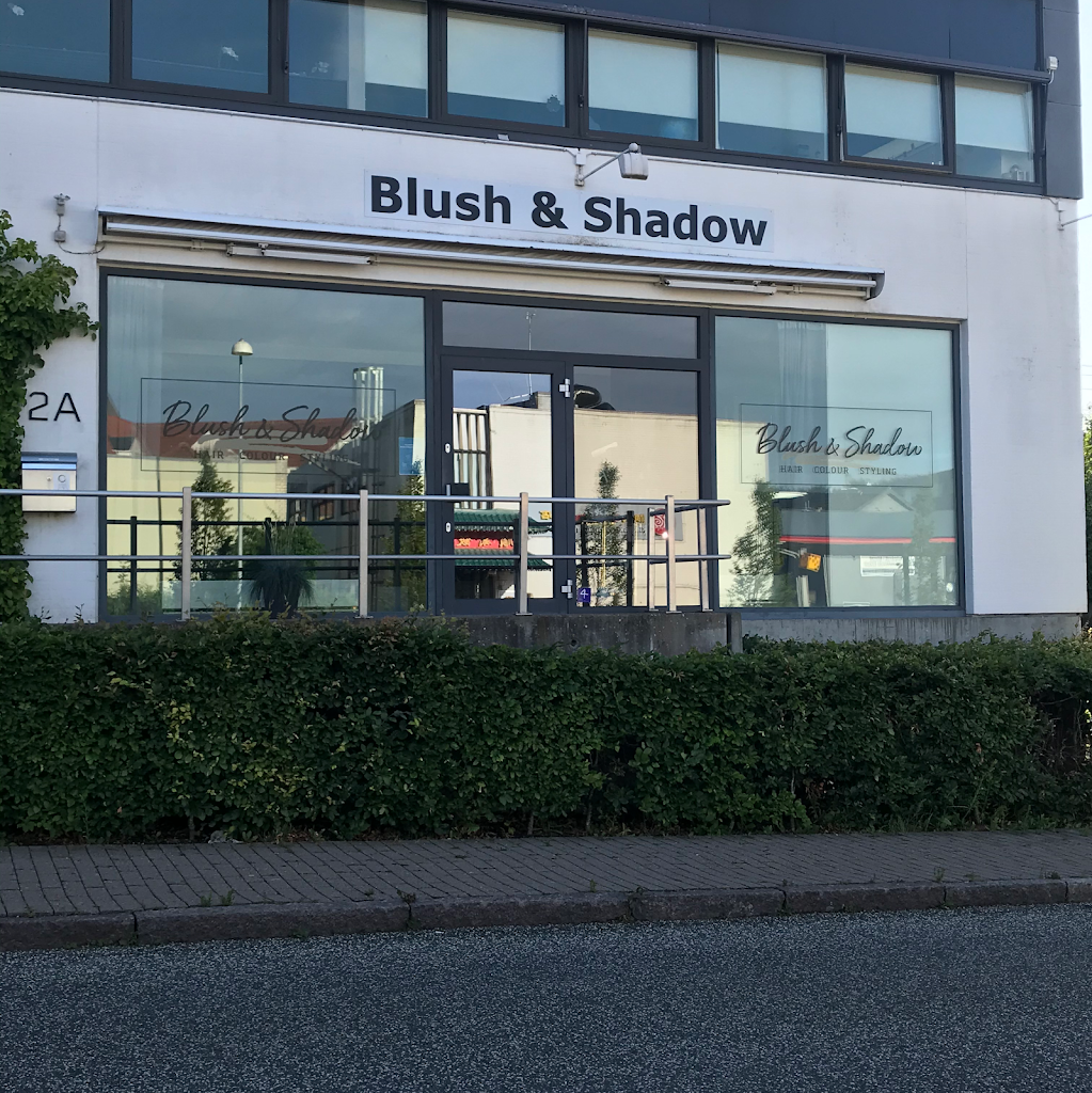 blush-shadow-aps-1.jpeg