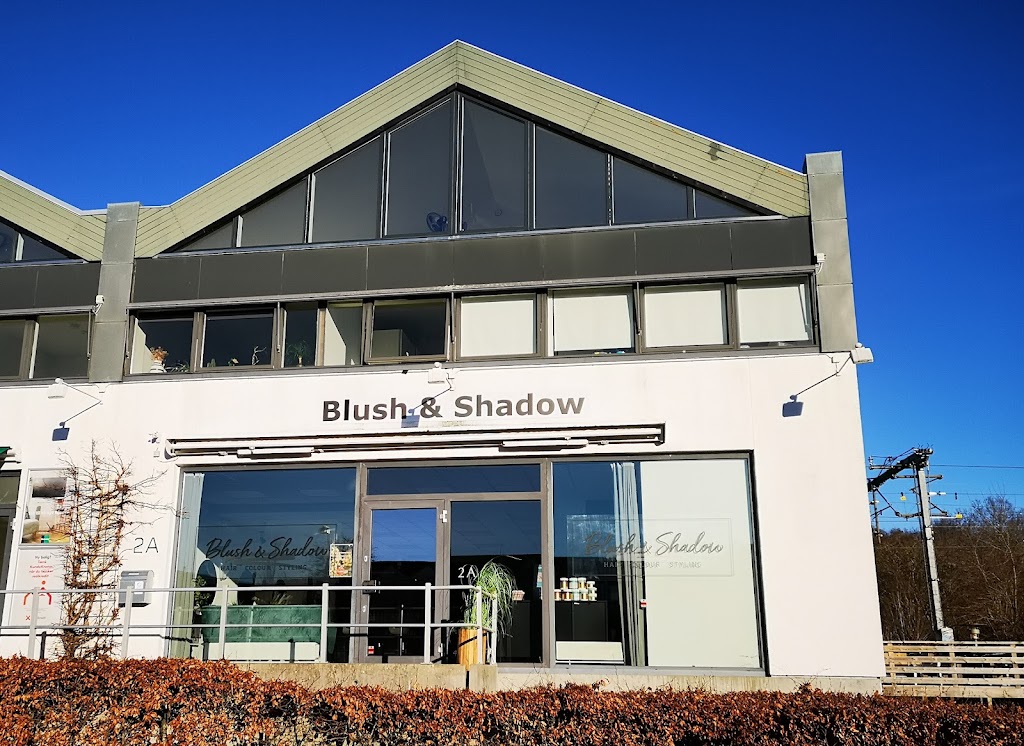 blush-shadow-aps-2.jpeg