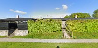 borgensgaard-consulting-0.jpeg