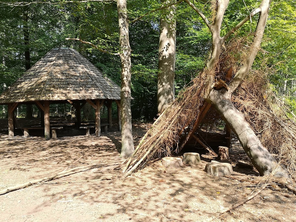 den-tobenede-bog-balsted-0.jpeg