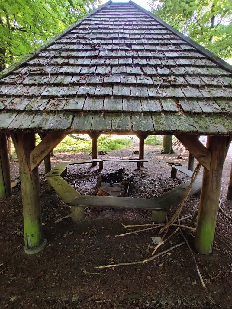 den-tobenede-bog-balsted-1.jpeg