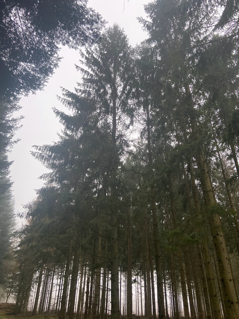 den-tobenede-bog-balsted-15.jpeg