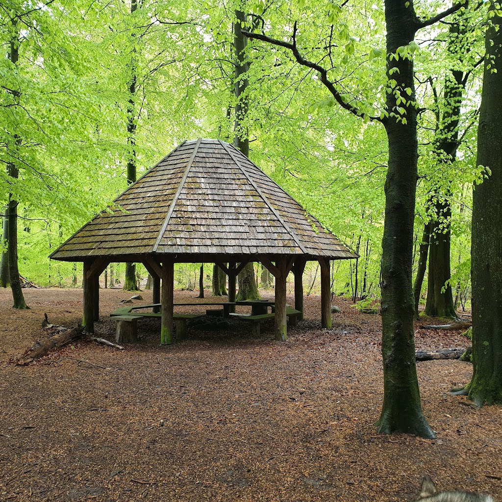 den-tobenede-bog-balsted-5.jpeg