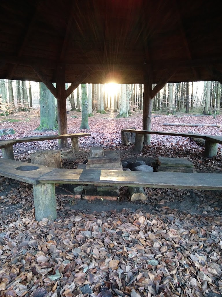 den-tobenede-bog-balsted-7.jpeg