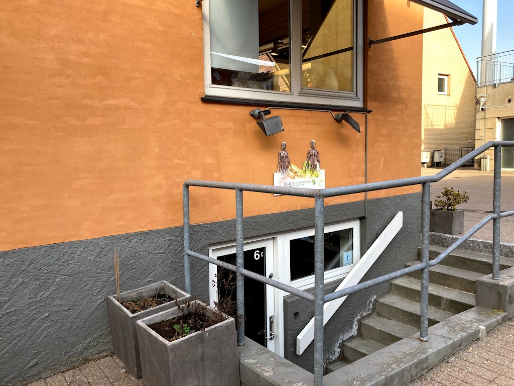 dihs-den-internationale-holistiske-skole-0.jpeg
