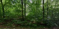 lereltestenen-8.jpeg