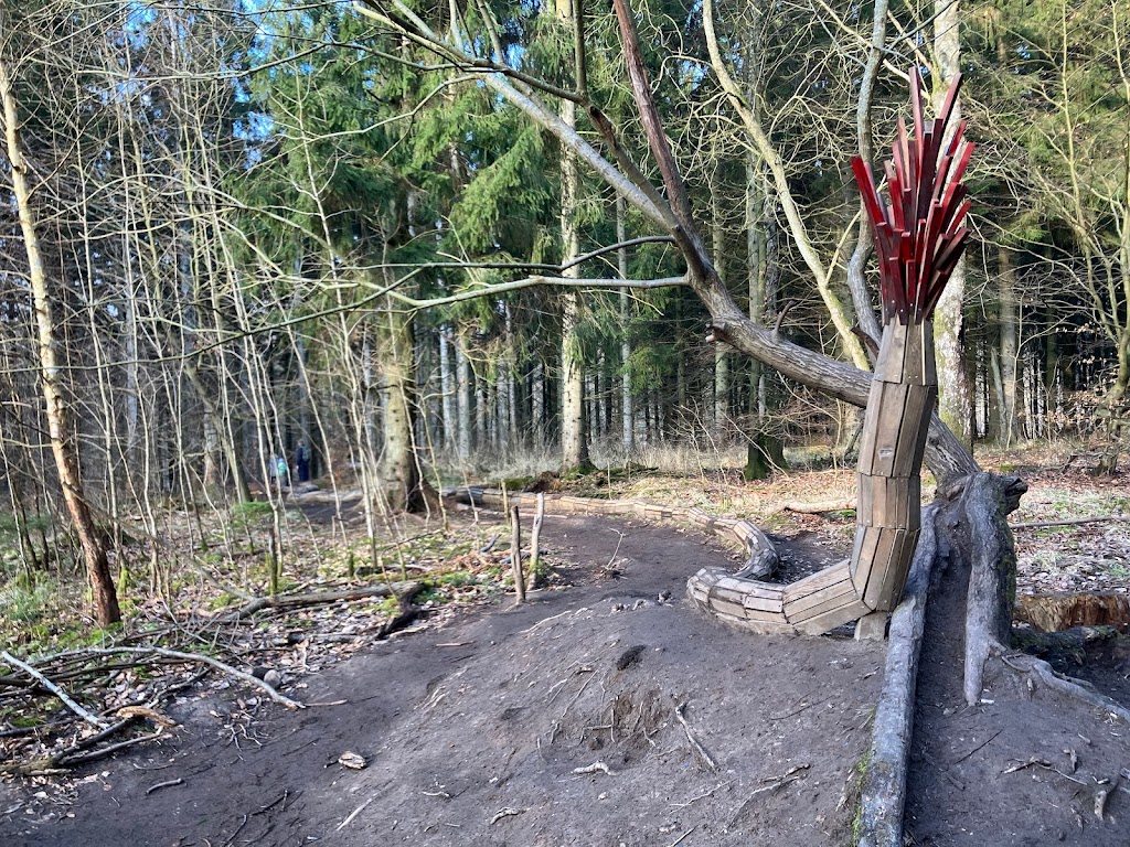 ravnsholt-skov-14.jpeg
