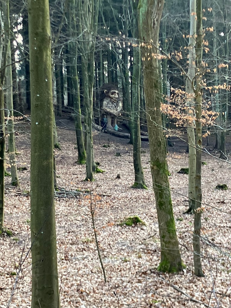 ravnsholt-skov-7.jpeg