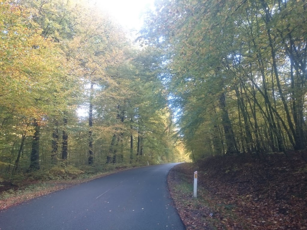 tokkenrod-6.jpeg