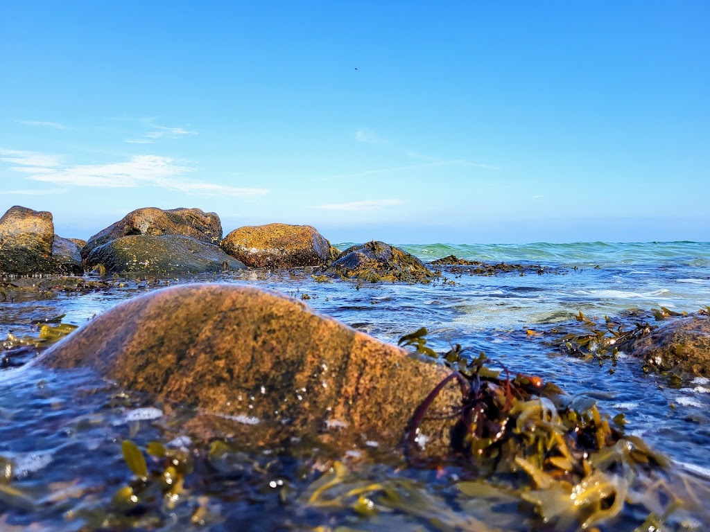 stranden-liseleje-4.jpeg
