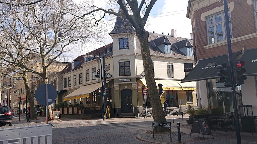 cocks-cows-lyngby-6.jpeg
