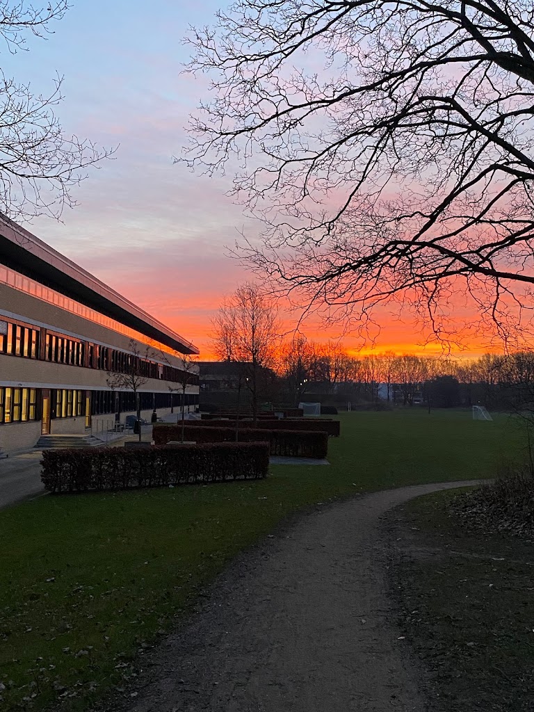 dtu-management-4.jpeg