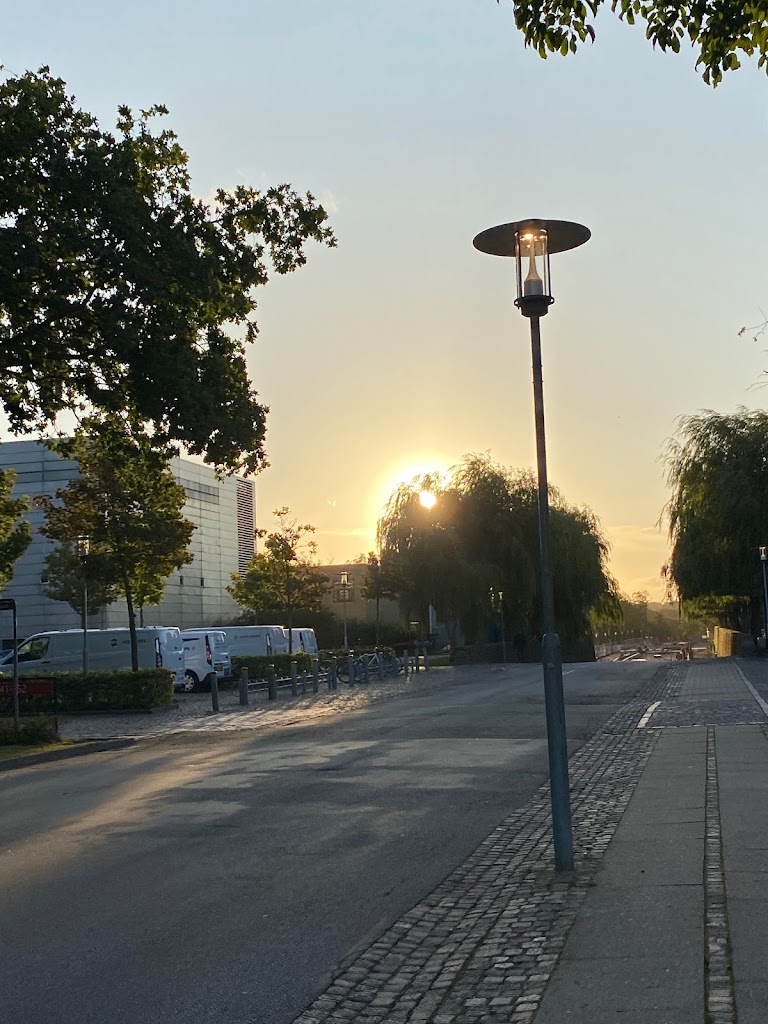 dtu-management-8.jpeg