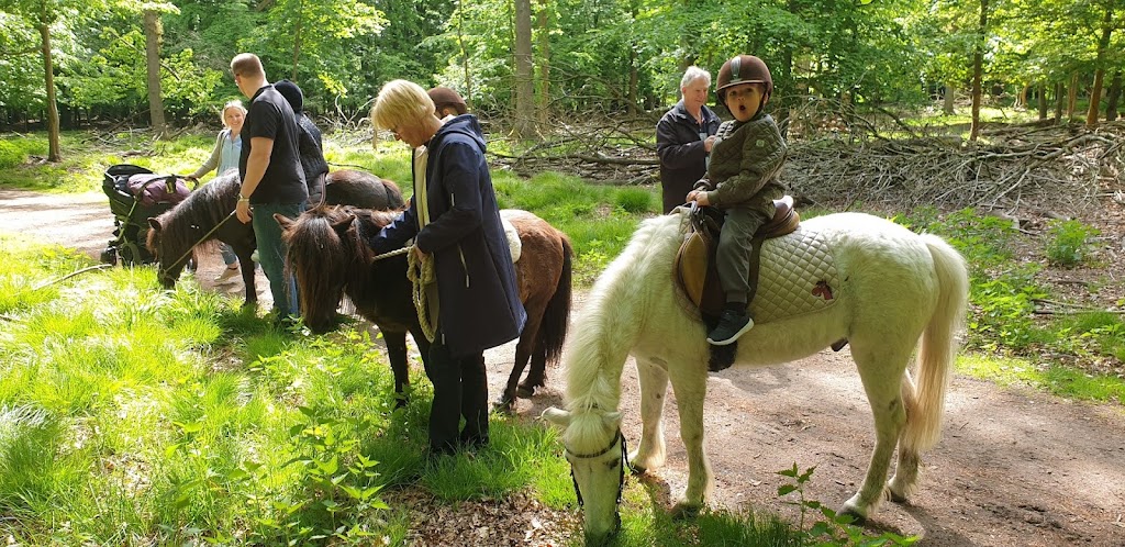 fortunens-ponycenter-15.jpeg