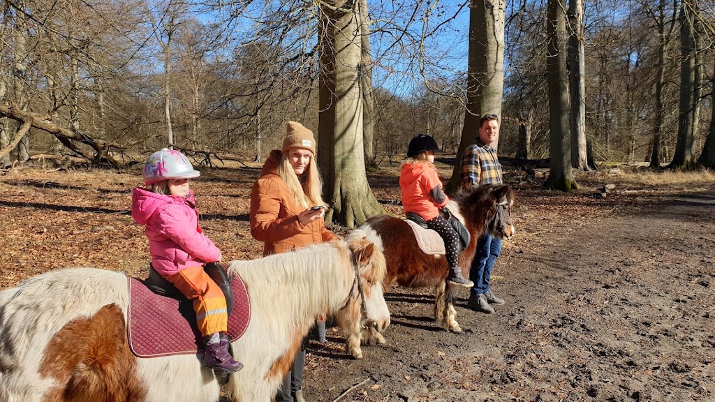 fortunens-ponycenter-5.jpeg