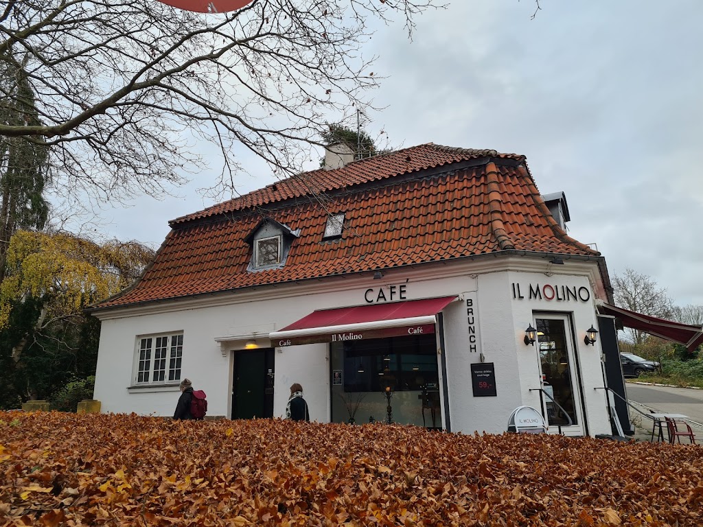 il-molino-1.jpeg