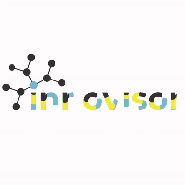 innovisor-consulting-aps-0.jpeg