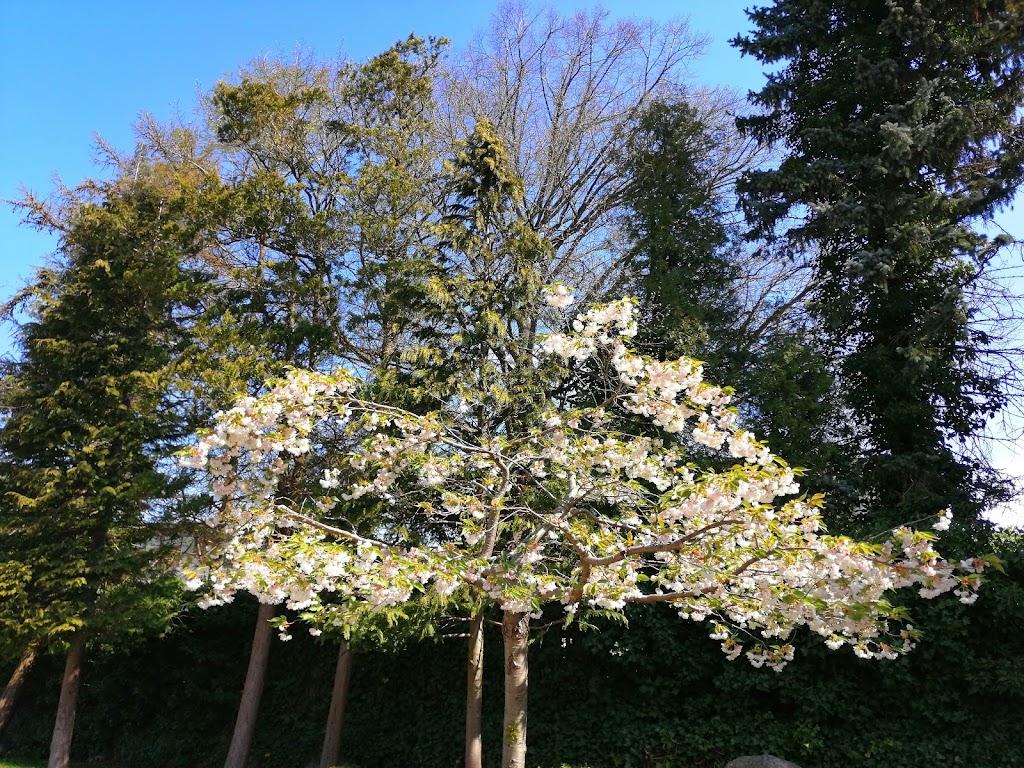 lottenborg-kro-9.jpeg