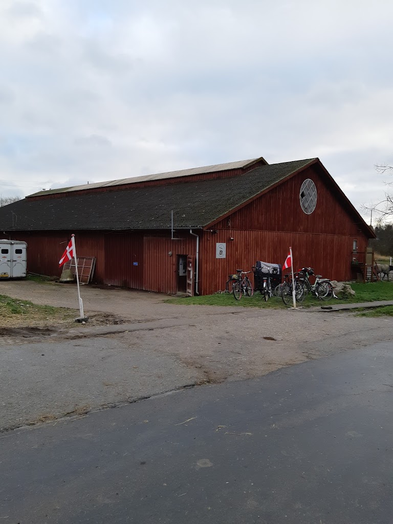 lyngby-taarbaek-rideklub-8.jpeg