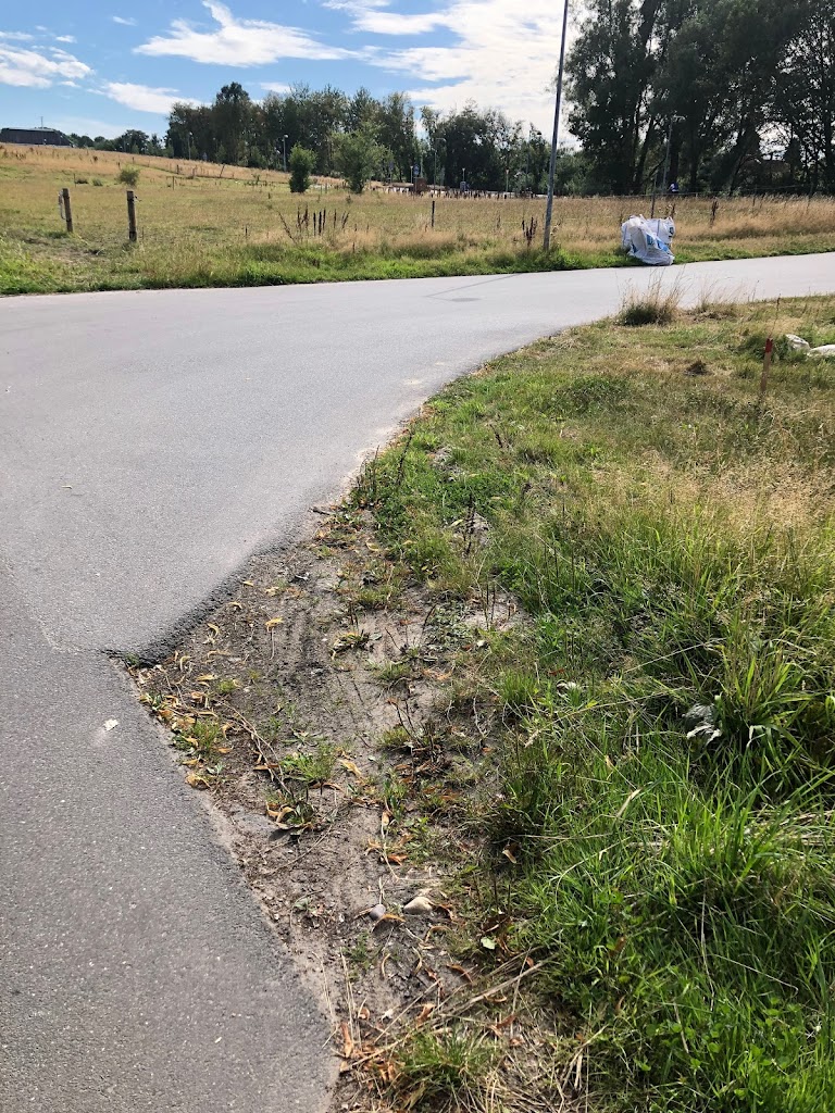 lyngby-taarbaek-rideklub-9.jpeg
