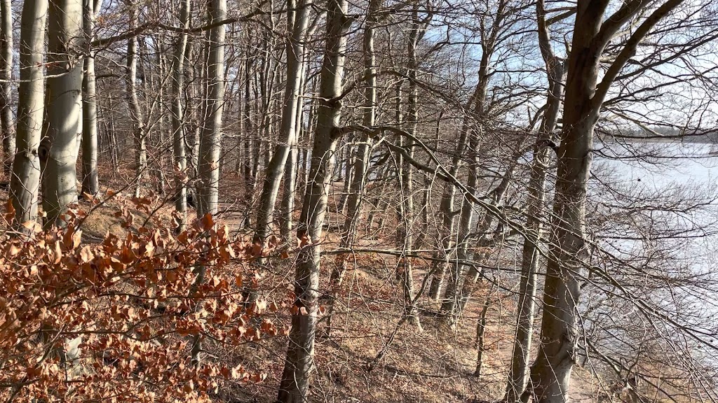 norskehus-11.jpeg