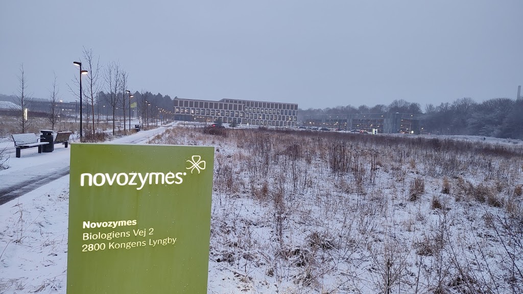 novonesis-5.jpeg