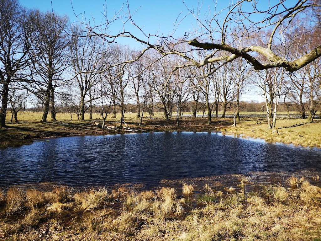 royal-copenhagen-golf-club-17.jpeg