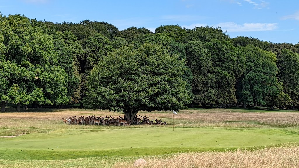 royal-copenhagen-golf-club-8.jpeg