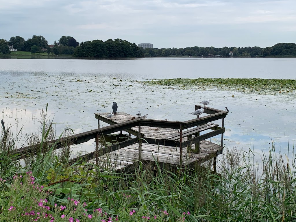 sophienholm-cafe-5.jpeg
