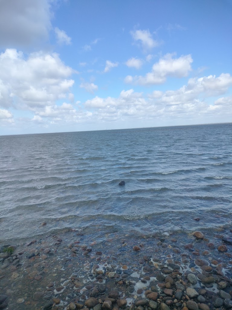 sorgenfri-kirkegard-11.jpeg