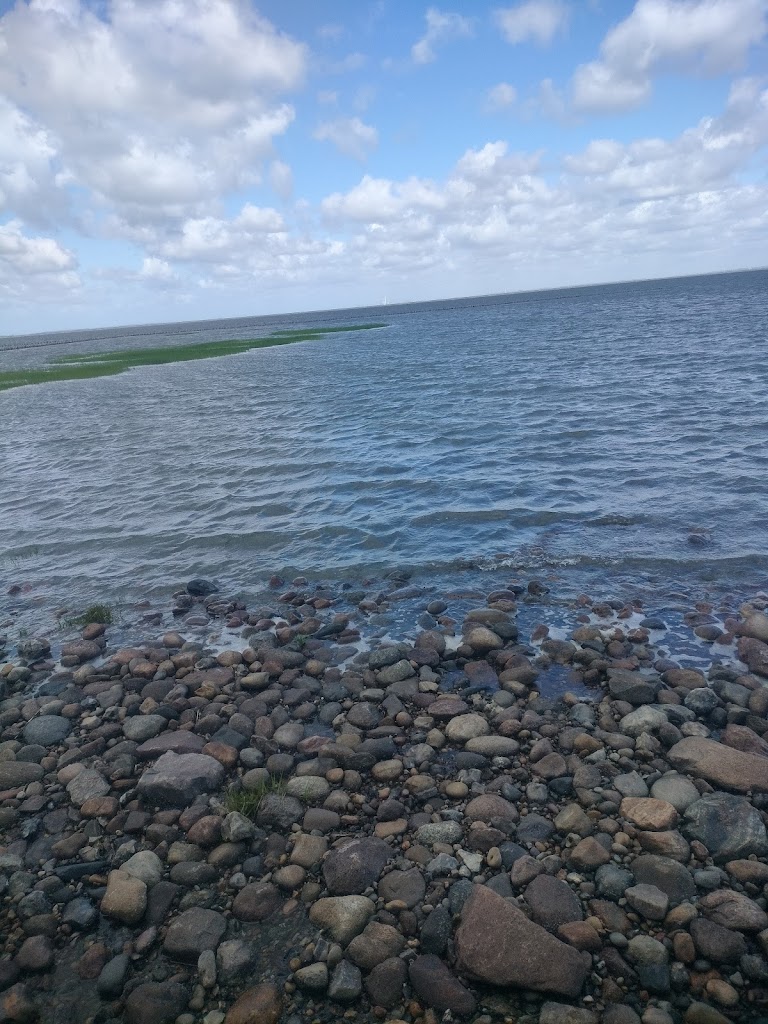 sorgenfri-kirkegard-2.jpeg