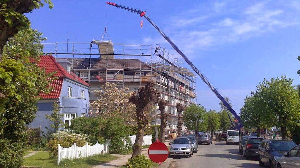 stenberg-10.jpeg