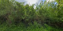 greenair-dk-7.jpeg