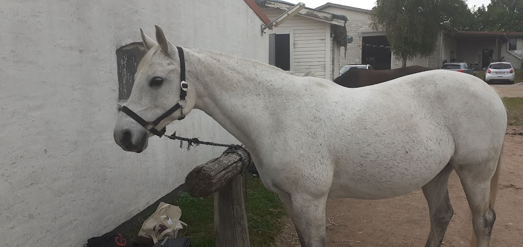 holmegardens-ridecenter-14.jpeg