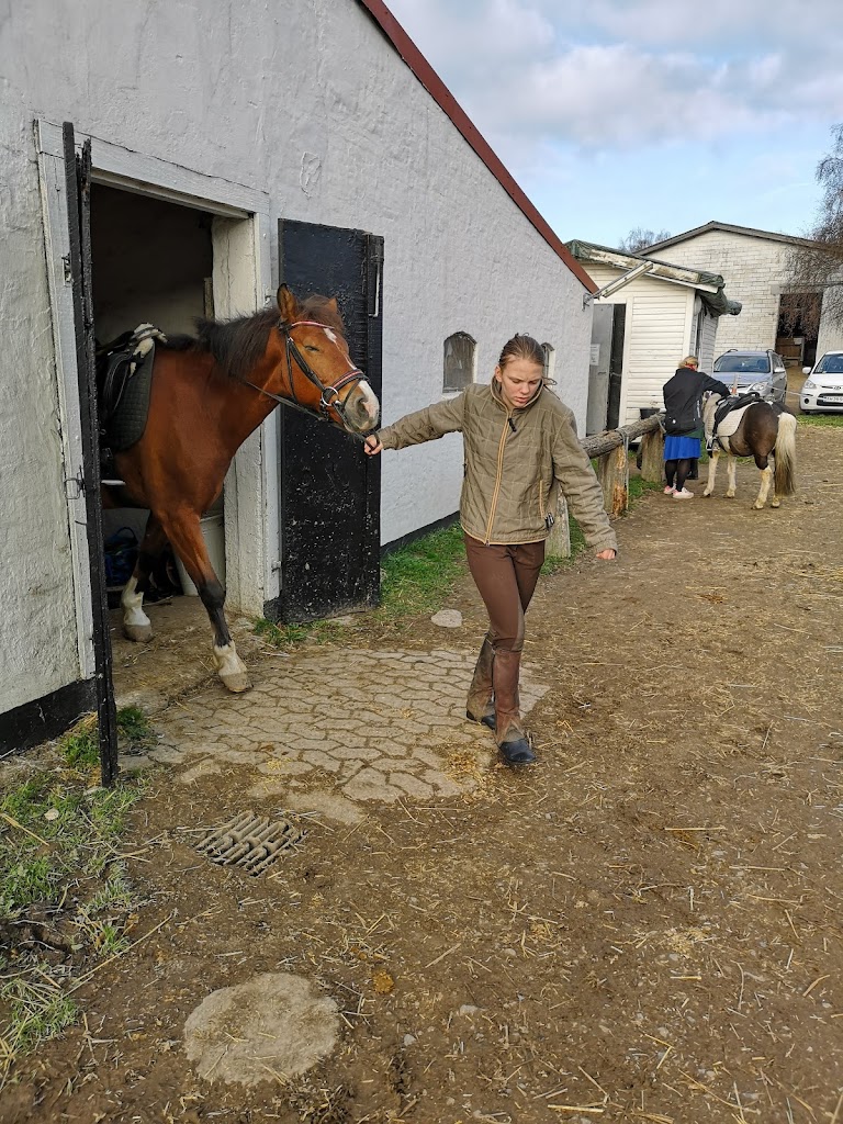 holmegardens-ridecenter-17.jpeg