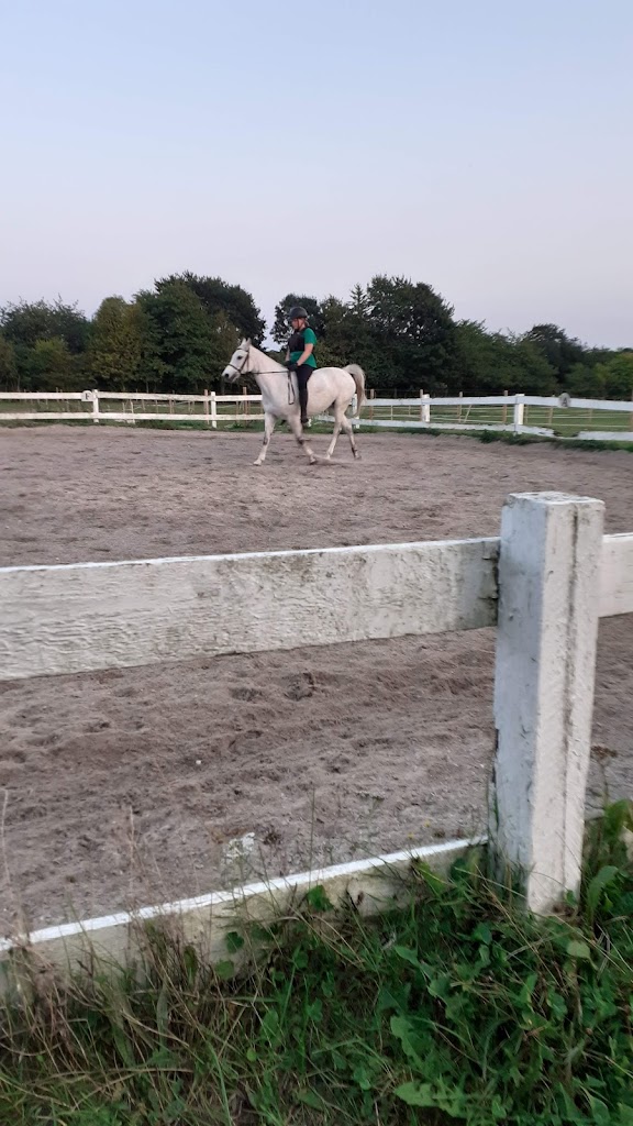 holmegardens-ridecenter-3.jpeg