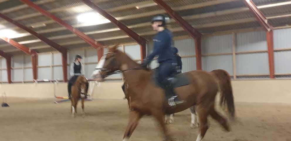 stendyssen-rideklub-4.jpeg