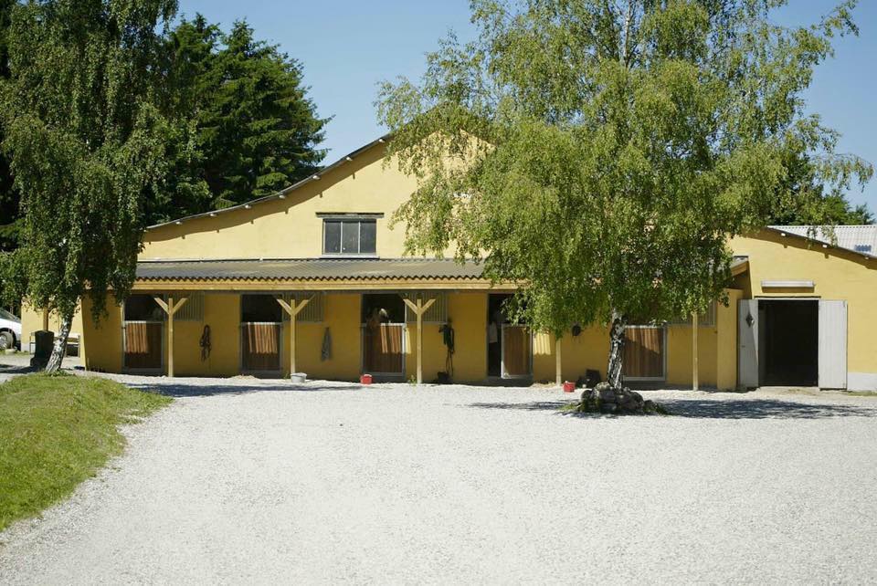 stutsborg-rideskole-i-s-9.jpeg