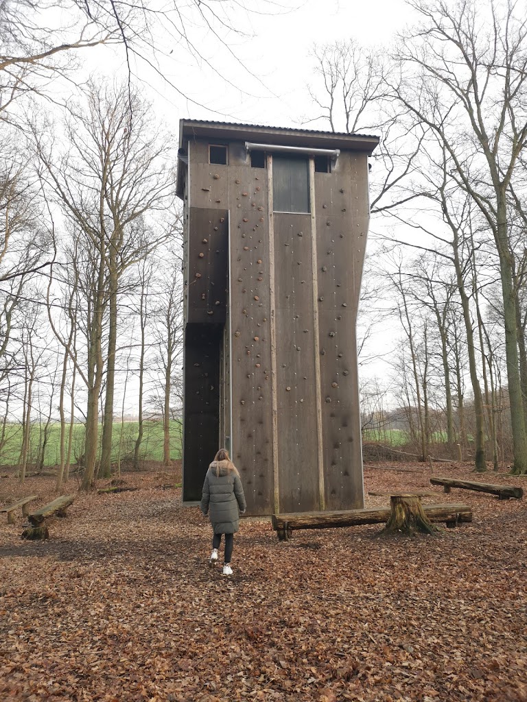 uggelose-forest-17.jpeg