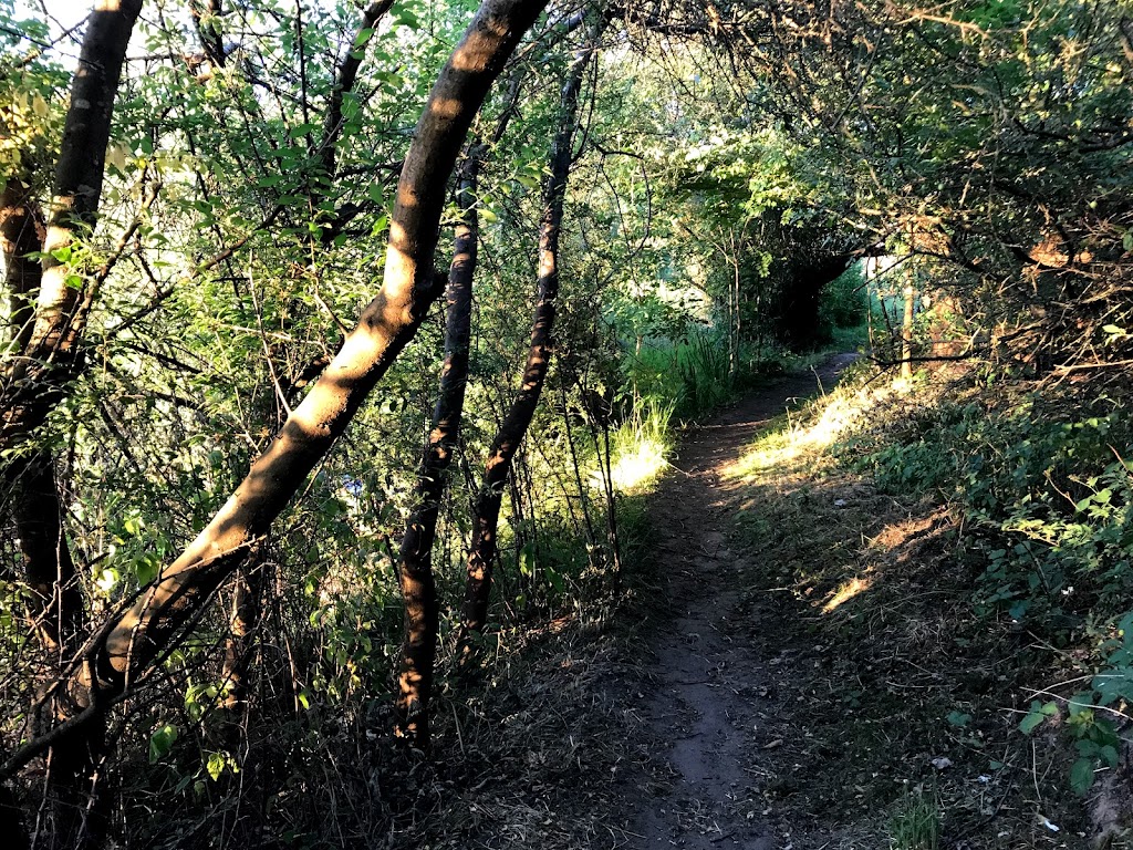 ugglose-lake-12.jpeg
