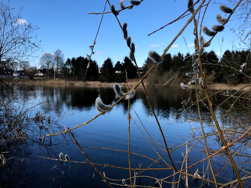 ugglose-lake-13.jpeg
