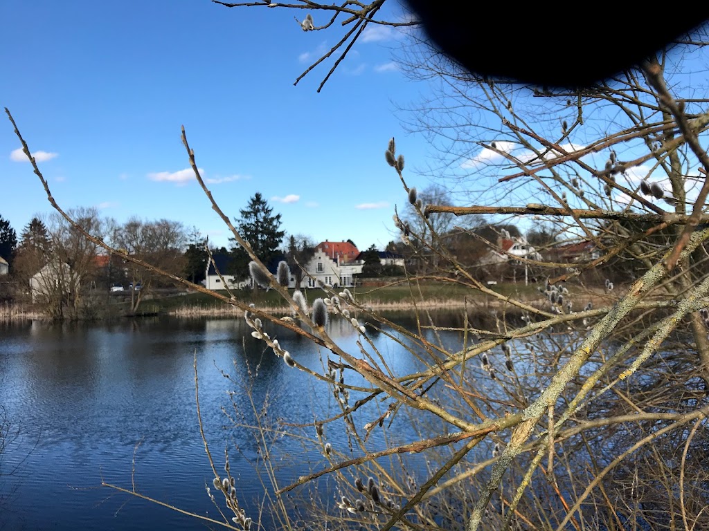 ugglose-lake-15.jpeg