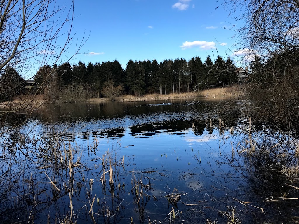 ugglose-lake-17.jpeg