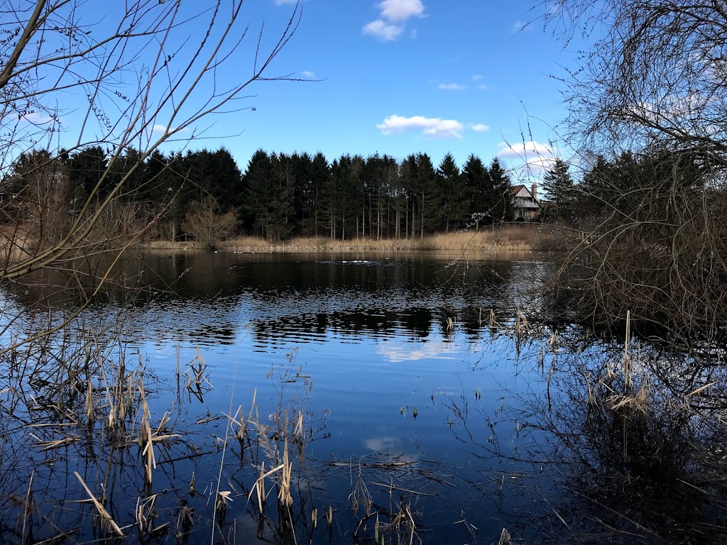 ugglose-lake-18.jpeg