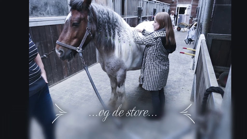 carencure-v-stephanie-bergquist-0.jpeg